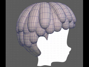 Base Hair for Boy V36 3D Model