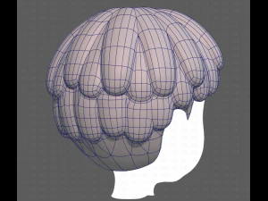 Base Hair for Boy V36 3D Model