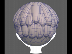 Base Hair for Boy V36 Modelo 3D