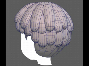 Base Hair for Boy V36 3D Model