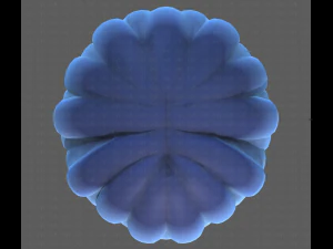 Base Hair for Boy V36 3D Model