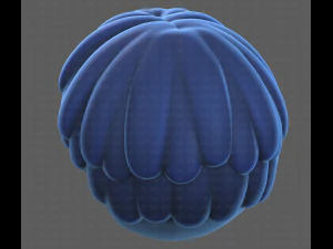 Base Hair for Boy V36 3D Model