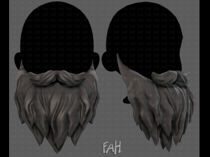 Beard V30 3D Model