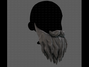 Beard V30 Modelo 3D