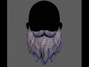 Barbe V30 Modèle 3D