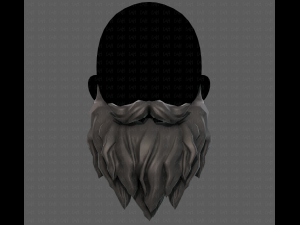 Beard V30 Modelo 3D