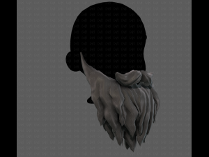 Beard V30 Modelo 3D