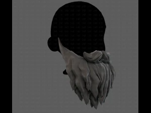 Barbe V30 Modèle 3D