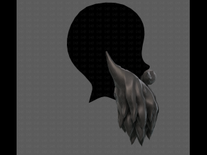 Beard V30 Modelo 3D