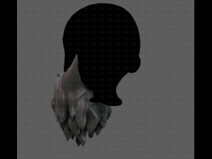 Beard V30 Modelo 3D