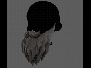 Beard V30 Modelo 3D