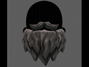 Beard V30 Modelo 3D