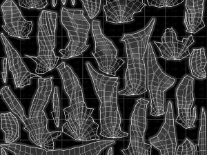 Barbe V30 Modèle 3D