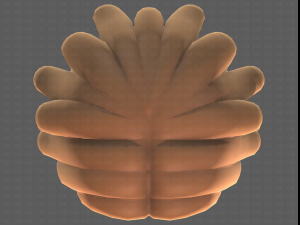 Base Hair for girl V38 Modelo 3D