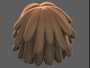 Base Hair for girl V38 Modelo 3D