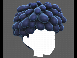 Base Hair for Boy V37 Modelo 3D