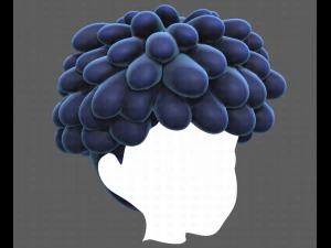 Base Hair for Boy V37 3D Model