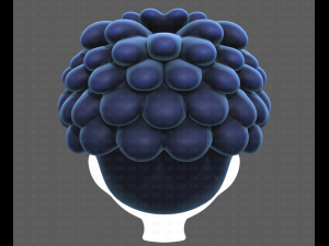 Base Hair for Boy V37 Modelo 3D