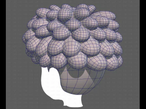 Base Hair for Boy V37 3D Model