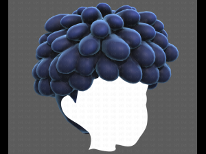 Base Hair for Boy V37 Modelo 3D