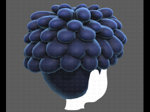 Base Hair for Boy V37 Modelo 3D