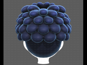 Base Hair for Boy V37 Modelo 3D