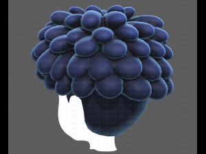 Base Hair for Boy V37 Modelo 3D