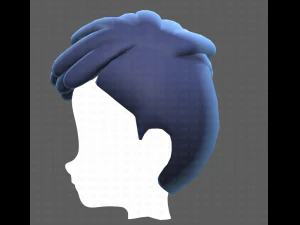 Base Hair for Boy V38 3D Model