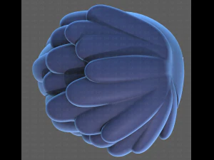 Base Hair for Boy V38 3D Model