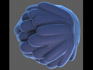 Base Hair for Boy V38 Modèle 3D