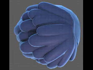 Base Hair for Boy V38 3D Model
