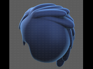 Base Hair for Boy V38 Modèle 3D