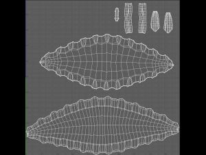 Cap V38 Modelo 3D