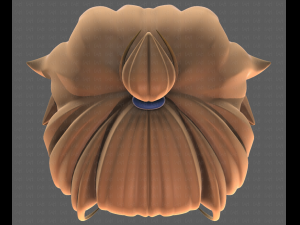 Base Hair for girl V40 Modelo 3D