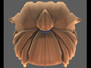 Base Hair for girl V40 Modelo 3D