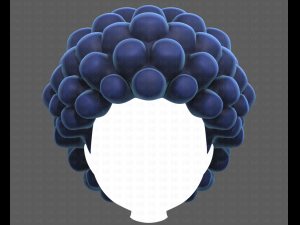 Base Hair for Boy V40 Modelo 3D
