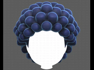 Base Hair for Boy V40 3D Model