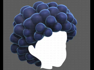 Base Hair for Boy V40 3D Model
