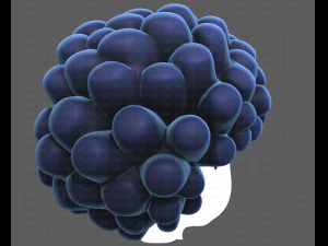 Base Hair for Boy V40 3D Model