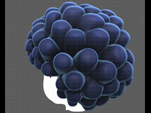 Base Hair for Boy V40 3D Model