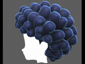Base Hair for Boy V40 3D Model