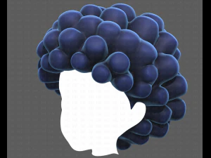 Base Hair for Boy V40 3D Model