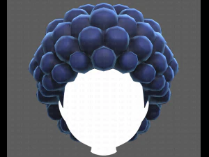 Base Hair for Boy V40 3D Model
