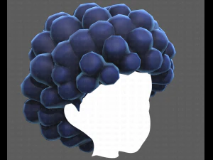 Base Hair for Boy V40 3D Model