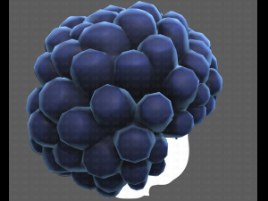 Base Hair for Boy V40 Modelo 3D