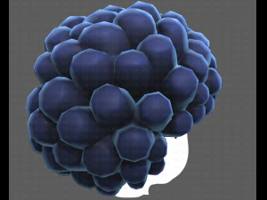 Base Hair for Boy V40 3D Model