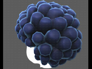 Base Hair for Boy V40 3D Model