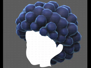 Base Hair for Boy V40 3D Model