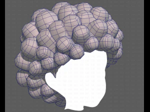 Base Hair for Boy V40 3D Model