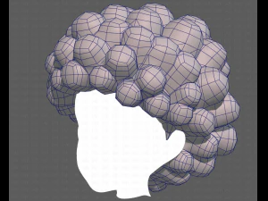 Base Hair for Boy V40 3D Model
